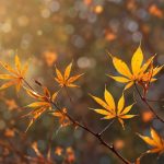 Prognoza meteo pentru duminică, 20 septembrie: Cer noros în toată țara și până la 25 de grade