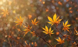 Prognoza meteo pentru duminică, 20 septembrie: Cer noros în toată țara și până la 25 de grade