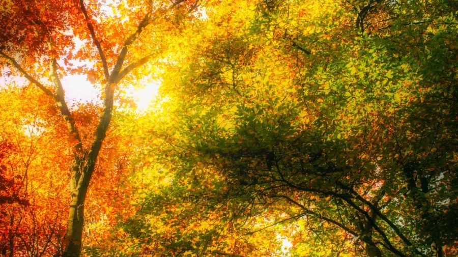 Prognoza meteo pentru 30 septembrie: Cer senin și până la +23°C.