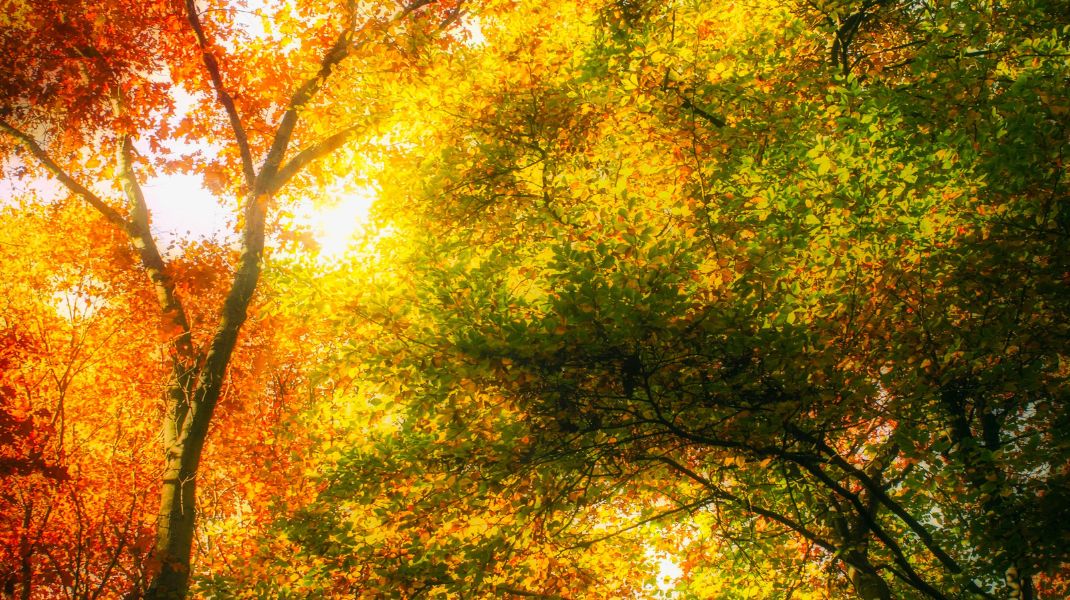 Prognoza meteo pentru 30 septembrie: Cer senin și până la +23°C.