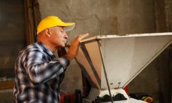 Fermentarea vinului, risc pentru sănătate: Avertismentul IGSU