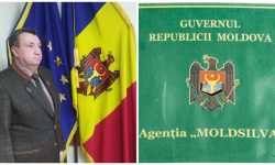 Nicolae Munteanu, eliberat din funcția de director al „Moldsilva”. Cine îi va exercita atribuțiile