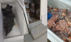 Hotelul din România, unde 58 de turiști s-au îmbolnăvit, primise amendă anterior. Neregulile depistate