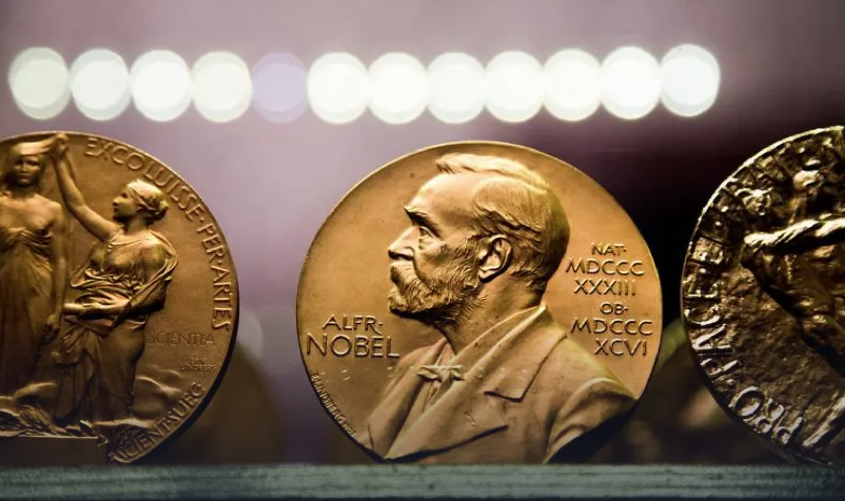 Premiile Nobel cresc cu 9%: Câți bani vor primi laureații în acest an