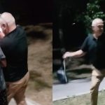 Femeie agresată într-un parc din Chișinău pentru că hrănea căței fără stăpân