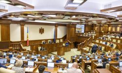 Parlamentul instituie, până la 31 octombrie, un regim provizoriu de licențiere a importului de cereale și oleaginoase