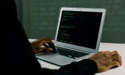 O jurnalistă germană a deschis un cont online și s-a prezentat drept admiratoare a lui Putin. Ce a urmat