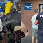 VIDEO Percheziții în apartamentul unei femei din Chișinău. Ce au găsit polițiștii