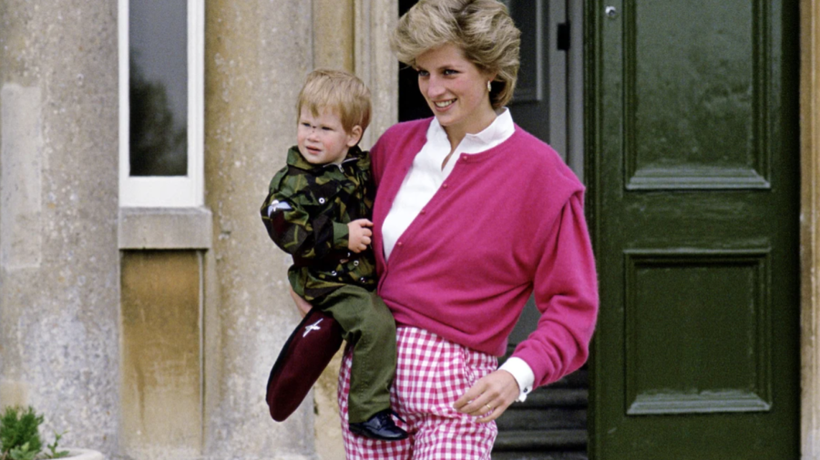Prințul Harry vrea să realizeze un documentar despre mama sa, prințesa Diana