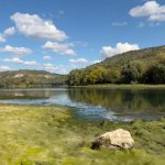 Gheorghe Hajder, replică dură pentru Ion Ceban: „În loc să facă lucrări, a ales mai mult să facă scandal”