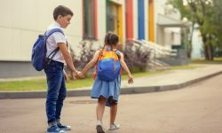 Dispar direcțiile raionale de învățământ: Parlamentul a votat în lectura a doua reforma „Restart în educație”