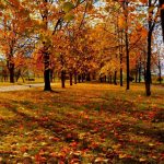 Fără ploi și cu temperaturi de până la +24°C: Prognoza meteo pentru 26 septembrie