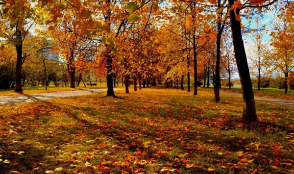 Fără ploi și cu temperaturi de până la +24°C: Prognoza meteo pentru 26 septembrie