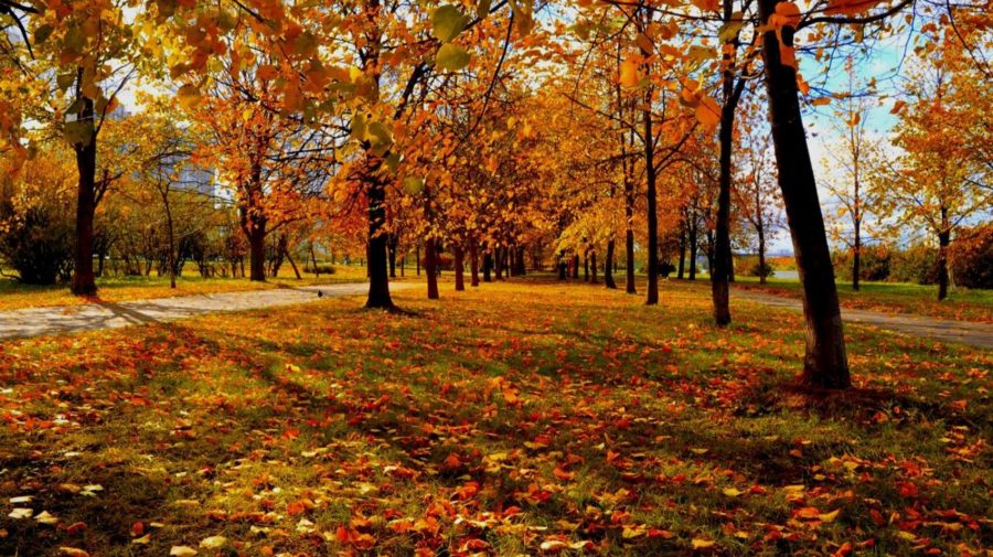 Fără ploi și cu temperaturi de până la +24°C: Prognoza meteo pentru 26 septembrie