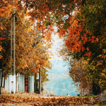 Prognoza meteo pentru 19 septembrie: Vreme caldă, cu ploi slabe în nordul țării