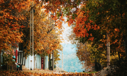 Prognoza meteo pentru 19 septembrie: Vreme caldă, cu ploi slabe în nordul țării