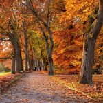 Prognoza meteo pentru 28 septembrie: Cer variabilă și temperaturi de până la 23 de grade