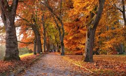 Prognoza meteo pentru 28 septembrie: Cer variabilă și temperaturi de până la 23 de grade