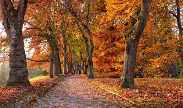 Prognoza meteo pentru 28 septembrie: Cer variabilă și temperaturi de până la 23 de grade