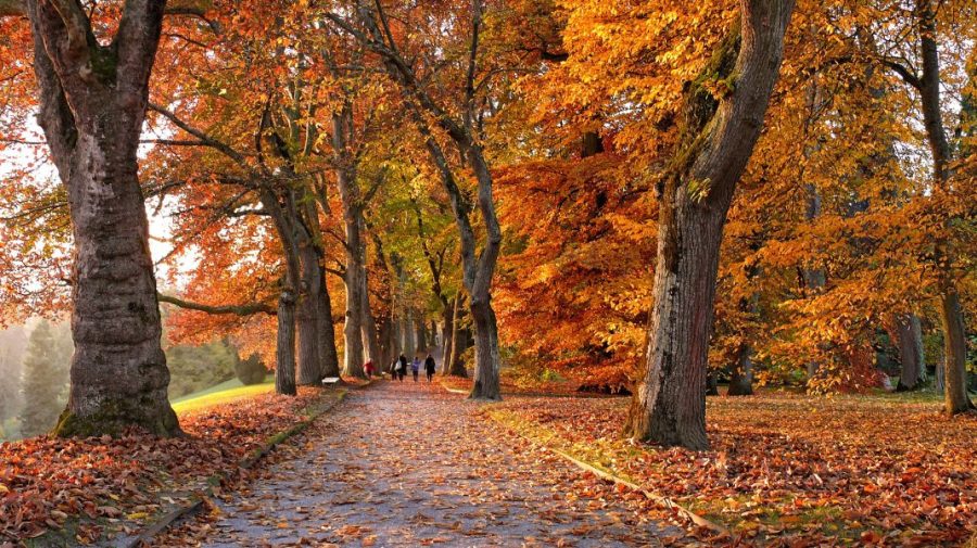 Prognoza meteo pentru 28 septembrie: Cer variabilă și temperaturi de până la 23 de grade