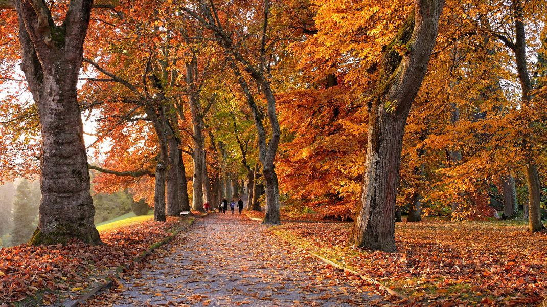 Prognoza meteo pentru 28 septembrie: Cer variabilă și temperaturi de până la 23 de grade