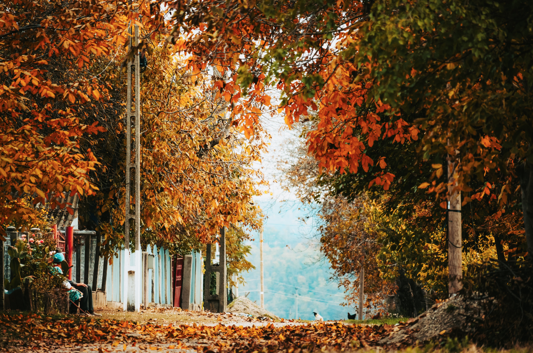 Prognoza meteo pentru 19 septembrie: Vreme caldă, cu ploi slabe în nordul țării