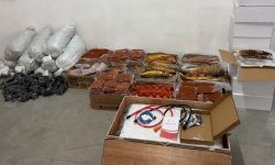 Marfă ascunsă într-un autocar la Tudora: pește afumat, baterie solară și zeci de mii de bețișoare de sushi