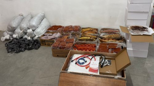 Marfă ascunsă într-un autocar la Tudora: pește afumat, baterie solară și zeci de mii de bețișoare de sushi