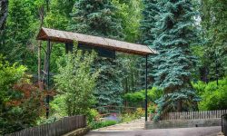 Grădina Zoologică din Chișinău își ajustează programul de activitate