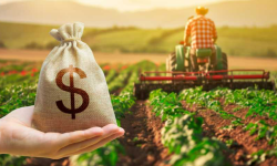 Bani pentru fermierii care au cerut subvenții în 2025: AIPA reia autorizarea plăților