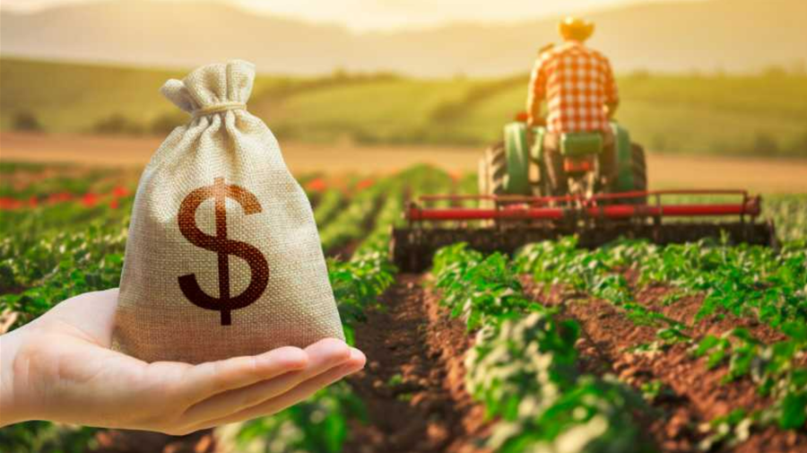 Bani pentru fermierii care au cerut subvenții în 2025: AIPA reia autorizarea plăților