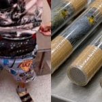 Un bărbat a fost arestat pe Aeroportul din Miami, după ce vameșii l-au prins cu zece păsări vii în pantaloni