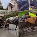 Bărbații care au trecut cu calul peste betonul proaspăt turnat la Cărpineni vor fi amendați