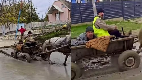 Bărbații care au trecut cu calul peste betonul proaspăt turnat la Cărpineni vor fi amendați