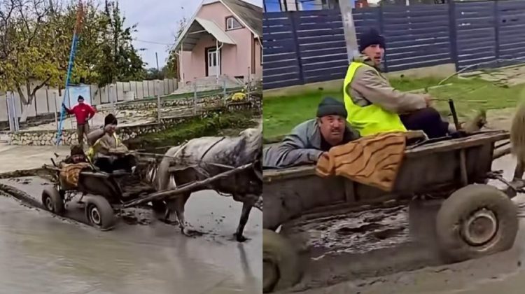 Bărbații care au trecut cu calul peste betonul proaspăt turnat la Cărpineni vor fi amendați