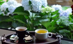 Cafeaua și ceaiul foarte fierbinți, asociate cu un risc mai mare pentru sănătate