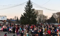 Soroca e deja cu gândul la sărbători: Primăria caută un brad de cel puțin 18 metri