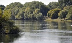 Nistrul nu mai scade la Cosăuți. Hajder: stația de captare are rezervă de peste un metru