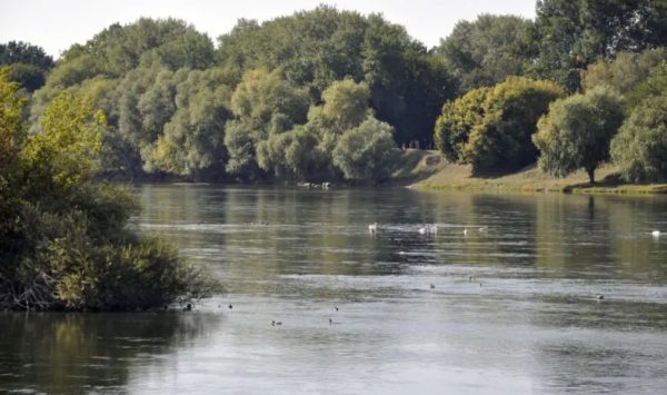 Nivelul apei în Nistru, la Cosăuți, a ajuns la 2,50 metri. Anunțul primarului de Bălți