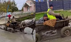 Nepăsare la Cărpineni. Video cu doi bărbați care au intrat cu căruța pe un drum abia turnat