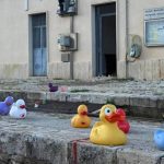 Competiție inedită într-o țară din UE: Moldova a câștigat medalia de bronz la cursa rățuștelor
