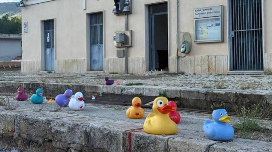 Competiție inedită într-o țară din UE: Moldova a câștigat medalia de bronz la cursa rățuștelor