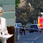 Atac șocant în Australia: O deputată și-a pierdut un picior după ce a fost lovită de o mașină