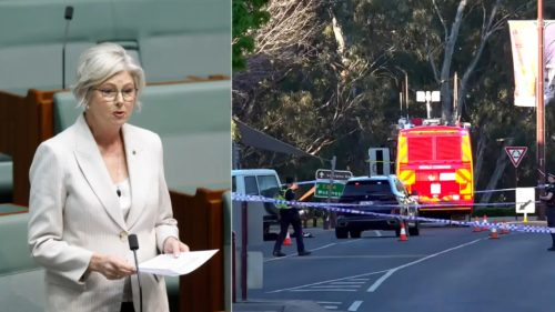 Atac șocant în Australia: O deputată și-a pierdut un picior după ce a fost lovită de o mașină