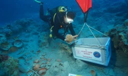 Descoperire istorică în Turcia: A fost găsită cea mai veche epavă din lume, de aproape 5.000 de ani