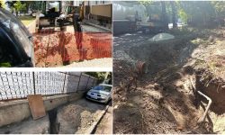 Excavările necoordonate, pericol pentru infrastructura electrică. Avertismentul Premier Energy Distribution