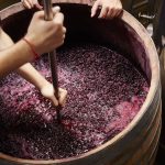 Tragedie în timpul fermentării vinului, la Cantemir: Un mort și o persoană intoxicată