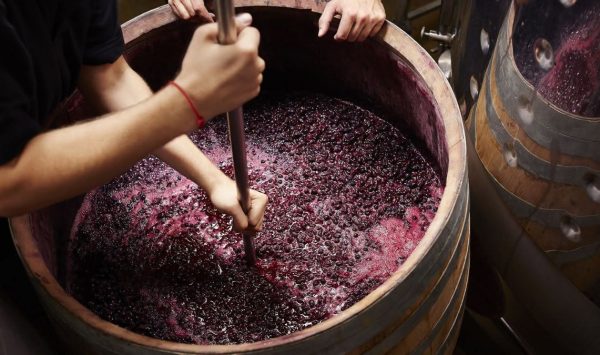 Tragedie în timpul fermentării vinului, la Cantemir: Un mort și o persoană intoxicată