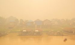 Indonezia trece prin cel mai grav sezon de incendii din ultimii zece ani