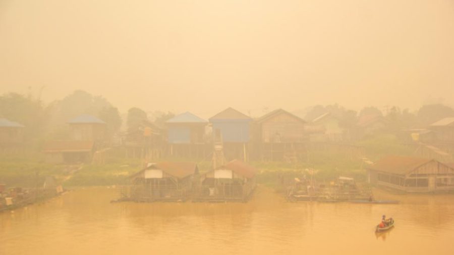 Indonezia trece prin cel mai grav sezon de incendii din ultimii zece ani